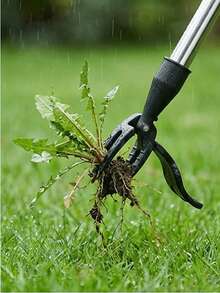 四爪钢制除根器 - 重型铝制头部，配有舒适握柄，高效除根/松土/草坪通气，适用于家庭园丁、房主、后院菜园、花坛/夏末初秋庭院维护，是乔迁新居/园艺爱好者的实用礼物。 - 彩色 - 查看 3