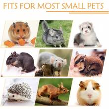WSXC Guinea Pig Ferret Rat Hammock Toy Small Animal Cage Accessories Hideout Tunnel And Bunkbed Hammock For Rat Ferret Guinea Pig Hamster Sugar Glider Chinchilla 1.Forest Hammock Set - 1HammockTunnel - View 5