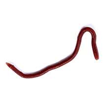 HENGJIA 8cm Fishing Soft Lure Trout Worm Earthworm Bait Realistic Fake Bloodworm Maggot Soft Bait - Red - View 5