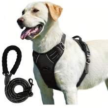 2pcs Reflective Dog Harness And 1.5 Meter Leash Breathable Pet Harness For Large And Small Medium Dogs And Cats Puppy Chest Vest Dog Walking Leash And Harness Set Accessories - màu đen - Xem 1