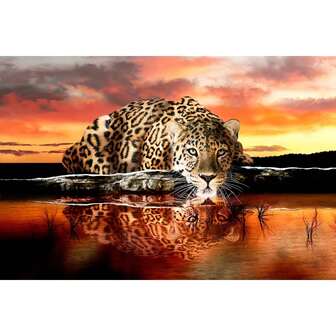 1 Stück lebendiger Leopard & Löwe Cartoon Teppich, Bodenvorlage für Wohnzimmer, Schlafzimmer, Küche, Innen/Außen, Heimdekoration Teppich, lebendige Raumdekoration Matte