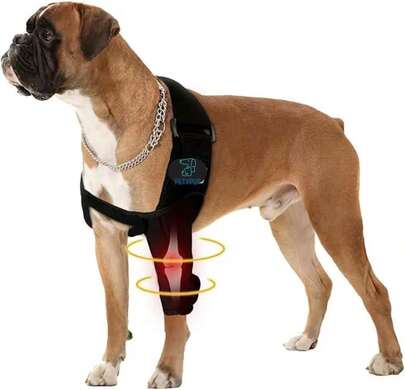 Rodillera para Perros - Soporte para Patas Delanteras, Protección Articular Canina, Alivio del Dolor Articular, Ajustable Transpirable (Rodillera Delantera Pata Izquierda Talla S)