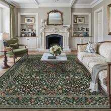 Soft Washable Vintage Floral Pattern Rug & Carpet - Extra Large Size, Non-Slip, Machine-Washable Rubber Backing, Faux Cashmere Texture, Suitable For Bedrooms, Living Rooms, And Dining Rooms - Black/Green/Beige, Bohemian Floral Style, Great Price + Free Shipping. - Aisha (Black) - View 1
