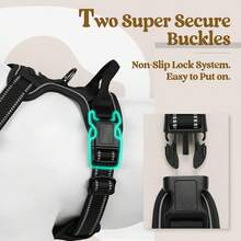 2pcs Reflective Dog Harness And 1.5 Meter Leash Breathable Pet Harness For Large And Small Medium Dogs And Cats Puppy Chest Vest Dog Walking Leash And Harness Set Accessories - màu đen - Xem 5