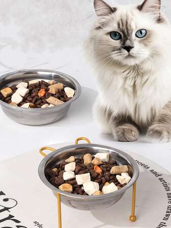 1pc Pet Cat Dog Bowl, Raised Stand Dog Food Water Bowl, Stainless Steel Pet Feeding Dish
