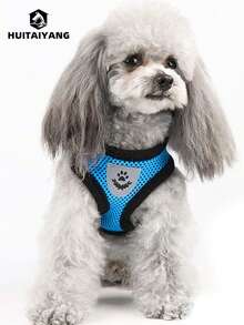 1 Set HUITAIYANG All-Season Pet Leash And Harness Set, Comfortable Breathable With Reflective Strips, Mesh Design, Lightweight Non-Choke Adjustable Leash And Harness Set For Small To Medium Dogs And Cats (Actual Product May Be Slightly Smaller, Please Order One Size Up) - Blue - View 4