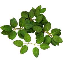 50 piezas de hojas de rosa artificiales sueltas, planta verde falsa, adecuada para ramos de boda DIY, decoración de mesa, decoraciones de fiesta, guirnaldas de rosas, coronas, centros de mesa, flores artificiales - Verde Oscuro - Ver 6