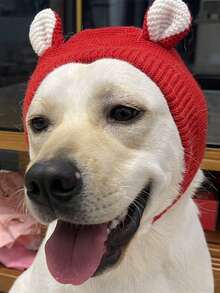 静音狗耳朵，防噪音针织狗帽，保暖冬季犬猫帽，适合中大型宠物，纯色兔耳朵造型，保暖防风宠物帽，适合大型犬日常使用 - 彩色 - 查看 4