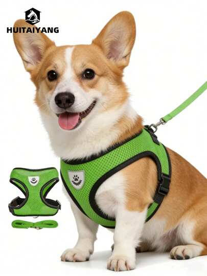  1 Set HUITAIYANG All-Season Pet Leash And Harness Set, Comfortable Breathable With Reflective Strips, Mesh Design Lightweight Non-Choke Adjustable Leash And Harness Set For Medium And Small Dogs And Cats (Actual Product May Be Slightly Smaller, Please Order One Size Up)