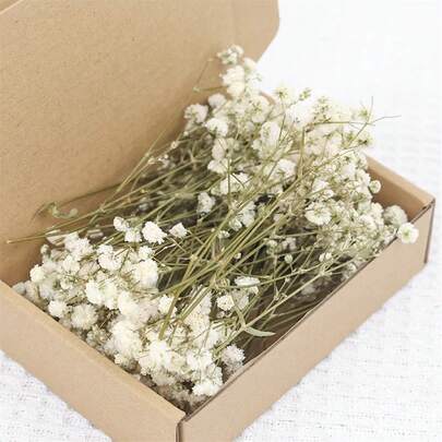 50PCS Mini Dried Babys Breath Flowers Artificial Preserved Gypsophila Bouquets For Rustic Wedding Decor, DIY Crafts, Gift Wrapping, Vase Arrangement