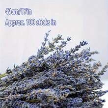 100支装Ocedes天然薰衣草花束 - 芬芳薰衣草花，适用于家居装饰、婚礼、办公室、派对装饰、DIY礼品 - 用途广泛的植物装饰，适合所有节日 - 紫色 - 查看 6
