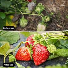 1片重型黑色控制布 - PE园林景观布，适用于花园、草坪和农场，防紫外线、防水、透气，花园控制 | 景观布 | 防水布