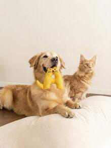 PETSIN 1 件字母声音玩具、宠物声音玩具、猫玩具、狗玩具、26 个英文字母、BB 呼叫声音玩具、可爱字母形状、磨牙洁牙宠物玩具、猫玩具、狗玩具、宠物用品 - 彩色 - 查看 3