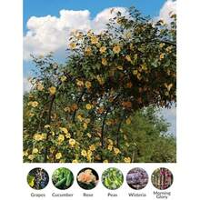 Arco enrejado para jardín exterior, soporte metálico para flores con revestimiento resistente al óxido, apto para plantas trepadoras, flores y hortalizas. Ideal para bodas, céspedes y fiestas - Negro - Ver 3