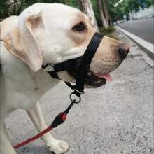 1个宠物长鼻狗嘴套带，黑色狗嘴套，狗狗训练防咬嘴套，狗绳，遛狗用品，狗狗配件 - 黑色 - 查看 10