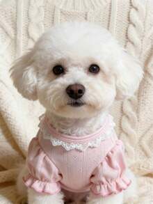 1pc Pet Dog/Cat Shirt, Suitable For Teddy, Poodle, Bichon Frise, Schnauzer, Autumn/Winter - Pink - View 15