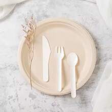 Blipack 100 Platos Grandes Ecologicos De Caña De Azucar 22cm Ecologico Compostable - Albaricoque - Ver 4