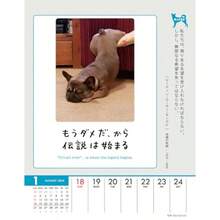 トライエックス 人生はワンチャンス 卓上/壁掛 2026年カレンダー 18×14cm CL-383 - 写真の通り - チェックする 2