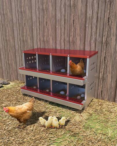  Huisuilinss Metal Chicken Nesting Box,8 Hole Nesting Boxes With Perch,Roll Away Chicken Laying Box For Laying Eggs With Roll Out Egg Collection,Rustproof Waterproof Ventilated Wall-mountable For ChickenCoop