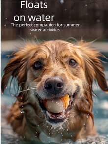 宠物玩具狗狗磨牙球，耐咬TPR材质发声球，适用于狗狗训练 - 彩色 - 查看 4