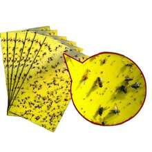 10 Pack Yellow Sticky Fly Trap Paper Fruit Flies Insect Aphids Glue Catcher Bug - Yellow - View 2
