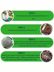 6个/12个/18个装，可重复使用的植物生根装置，高压压条盒，植物生根生长箱，高压繁殖球嫁接装置，植物生根控制器，花园植物生根盒，（黑/白），2英寸 - 彩色 - 查看 5