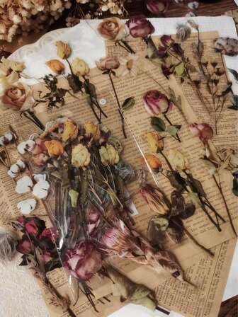 1 Pack 40pcs Dry Rose Retro Plant Flower Decoration PET Stickers Handbook Material,Sticked On Handbook Diary,Suitcase Computer Water Cup Mobile Phone Case Refrigerator Wall Helmet Cabinet Box Door Bed Guitar,Classroom Samolepky,School Supplies,Teacher Accessories,Scrapbook Supplies,Teacher Gifts,Craft Supplies,DIY Living Room, Dining Room Refrigerator, Bed, Wall