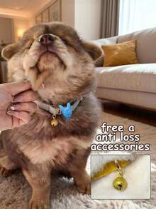 1 Stück Nacht-Sicherheits-Haustier-Anhänger, leuchtet im Dunkeln, geeignet für Hunde, Katzen, Teddyhunde, Kleintiere, Haustierzubehör, Outdoor-Leuchte, hilft Ihnen, Ihr Haustier genau zu lokalisieren, mit Anti-Verlust-Glöckchen und LED-Licht ausgestattet