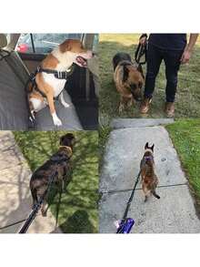 BVEOYPET Heavy Duty Bungee Dog Leash - Comfort Padded Handles & Reflective Threads - 6Ft/4Ft For Medium To Large Dogs - Versatile 4-In-1 Leash With Car Seat Belt - Perfect For Training And Secure Travel - Multicolor - View 6