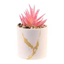 Multiple Options Realistic Succulent Plants Potted, Gold Rim White Ceramic Cup, Office Desk Decor, Home Decoration, Desktop Ornament, Birthday Gift - White - View 14
