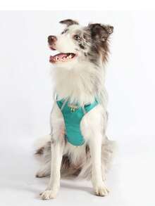 Imbracatura leggera per cani, imbracatura pettorale regolabile e traspirante per animali domestici con tasca con cerniera, super morbida e imbottita, riflettente, facile da pulire, adatta per cani di taglia media e grande - Multicolore - Visualizzare 6