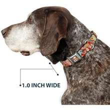 Buckle Down Seatbelt Buckle Dog Collar, ,(1.5" Wide - Fits 16-23" Neck - Medium Dancing Catrinas Collage Multi Color) - Multicolor - Ver 6