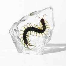 1pc Handmade Crystal Crafts Decor, Rock Ice Sculpture, Fully Handcrafted Creative Resin Drip Glue Insect Amber Art, Premium Crystal Clear High-End Gift - Multicolor - View 12
