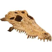 Exo Terra Reptile Skull Hide Crocodile(Cocodrilo) - Multicolor - Ver 1