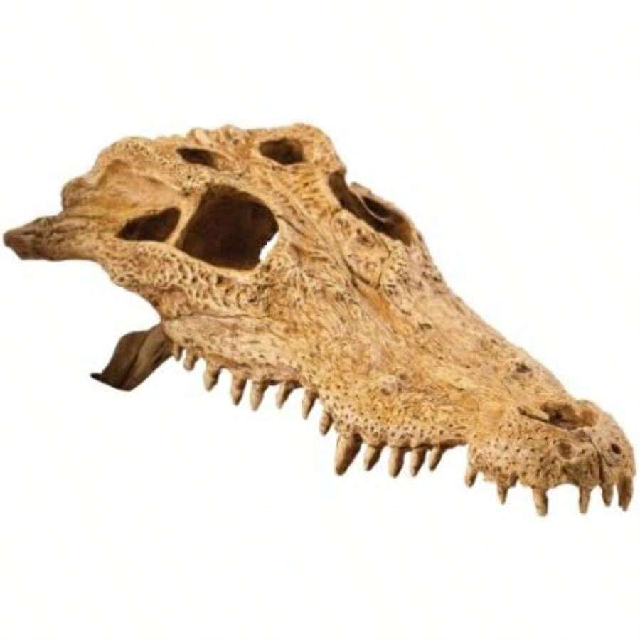 Exo Terra Reptile Skull Hide Crocodile(Cocodrilo) - Multicolor - Ver 1