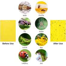10 Pack Yellow Sticky Fly Trap Paper Fruit Flies Insect Aphids Glue Catcher Bug - Yellow - View 5