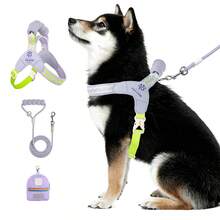 New 3 PiecesDog Outdoor Travel Set, Includes Soft Handle Leash, 4ft Leash, Dog Backpack, Breathable Padded Dog Harness, Adjustable For Training And Daily Walking - Multicolor - View 9