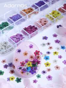 约300朵木浆花朵美甲装饰品，包括玫瑰、雏菊、鸢尾花等，适用于凝胶指甲油美甲，浪漫花朵美甲设计 - 彩色 - 查看 5