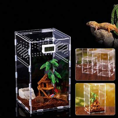 Jumping Spider Enclosure, Insect Terrarium, Bug Cage, 20 X 12 X 11 Cm Acrylic Terrarium For Tarantula, Snail, Praying Mantis, Frog, And Small Reptiles