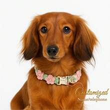 Customized Dog Name/Phone Collar, Handmade Woven Dog Collar, Personalized Floral Puppy Collar, Adjustable Pet Collar With Customized Engraved Tag - Multicolor - View 9