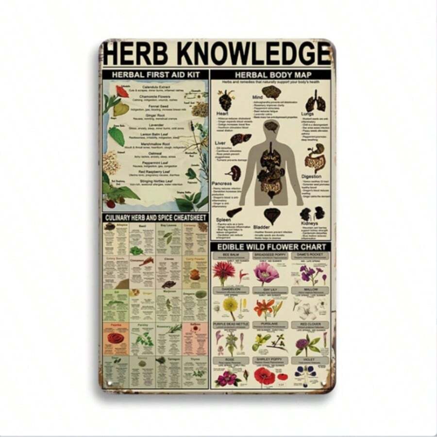 1件，复古草药知识金属锡牌，药剂师学习指南锡牌，男士专属空间锡牌，办公室俱乐部酒吧厨房家居墙面装饰，防水防尘 12x8 英寸。 - 彩色 - 查看 1