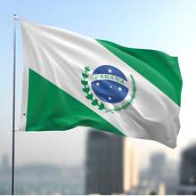 Bandeira do Estado do Paraná Dupla Face Estampada Tamanho 70x100cm - Multicolorido - Visão 2