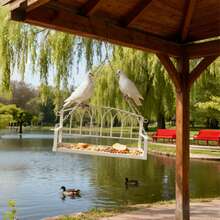 1个耐候鸟秋千栖架玩具，鸟笼支架，适用于户外阳台、花园，节日礼物（夏季、父亲节）——经久耐用，是观鸟和户外宠物娱乐的理想之选，也是花园宠物和户外爱好者的必备礼物。#户外鸟类护理 #花园宠物 #节日礼物 #观鸟配件 #耐用鸟类玩具