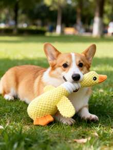 1 pieza Juguete para masticar para perros, juguete de peluche con chillido duradero, juguete de autoentrtenimiento para mascotas, alivio del aburrimiento, juguete para perros que consume energía - Multicolor - Ver 7