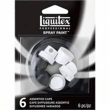 R-Liqux 4459223 essional Sp Paint N Assorted 6-Pack - multicolor - Ver 1