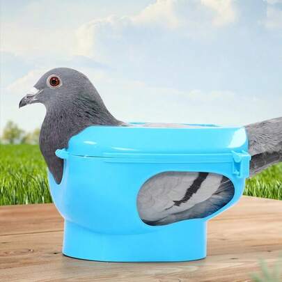 1个鸽子固定器药物分配器，鸽子补充液体喂食器，雏鸽药物喂食器，赛鸽注射固定架用品