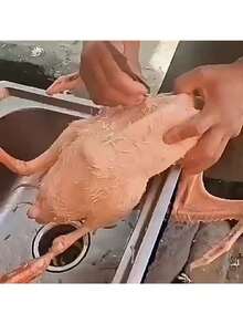 1pc Stainless Steel Fish Bone Tweezers Tongs, Seafood Tongs, BBQ Tools, Salad Tongs - 1 - View 9