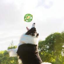 Silicone Pet Ringing Ball Toy | Built-In Clear Bell . Bite-Resistant Silicone | Must-Have Cat Dog Chasing Ball, Christmas Hot Selling Gift - Multicolor - View 4