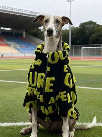 Stor/mellanstor hundhuvtröja med dragkedja och bokstavstryck, lämplig för golden retriever, labrador, doberman i kallt väder