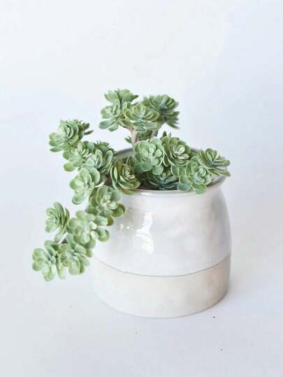 Artificial Succulent Plants - Premium Fake Plants - Double Velvet Succulent Plants - Face Succulent Plants - Mini Fake Succulent Plants - Face Plant Decor Artificial Greenovia Succulent Decorations Plastic Artificial Sea Daffodil Succulents Spring Decor Artificial Succulents Fake Succulents Without Pot Premium Handmade DIY Floral Decor Home Garden Office Party